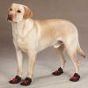 Обувь для собак в интернет-магазине
