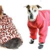 Зимняя одежда для собак